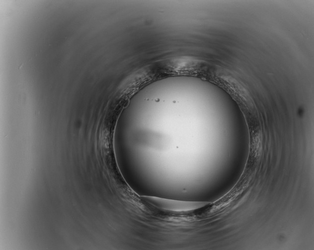 X0000098180571200805011038