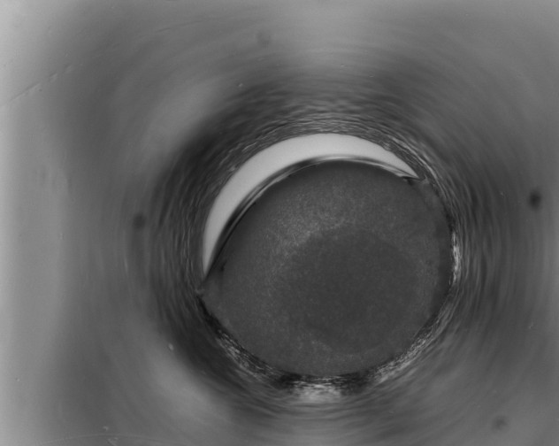 X0000098180572200805011039