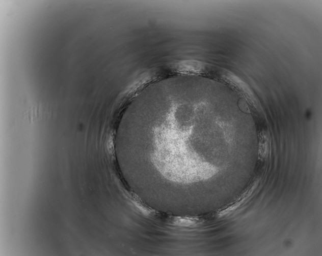 X0000098180573200805011039