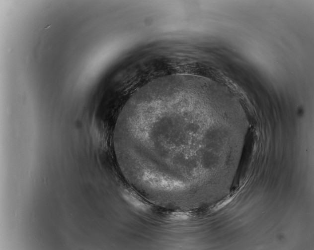 X0000098180574200805011039