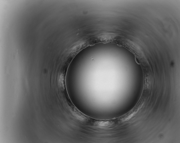 X0000098180575200805011039