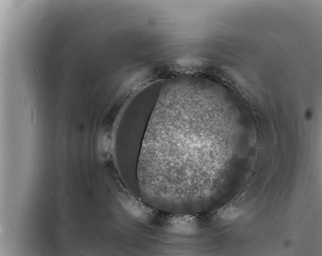 X0000098180576200805011039