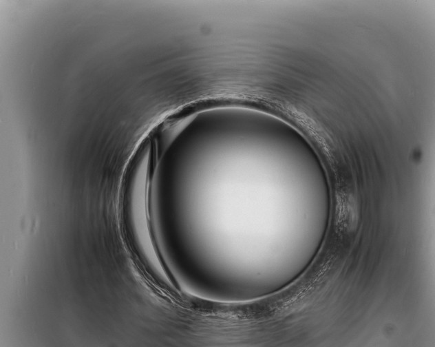 X0000098180580200805011038