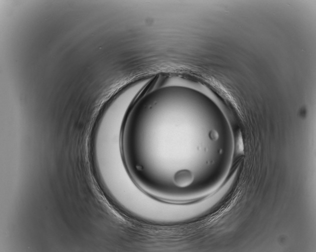 X0000098180581200805011038