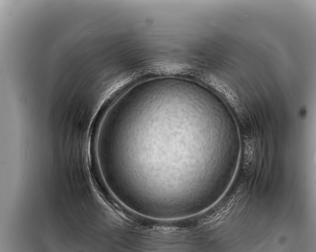 X0000098180582200805011038