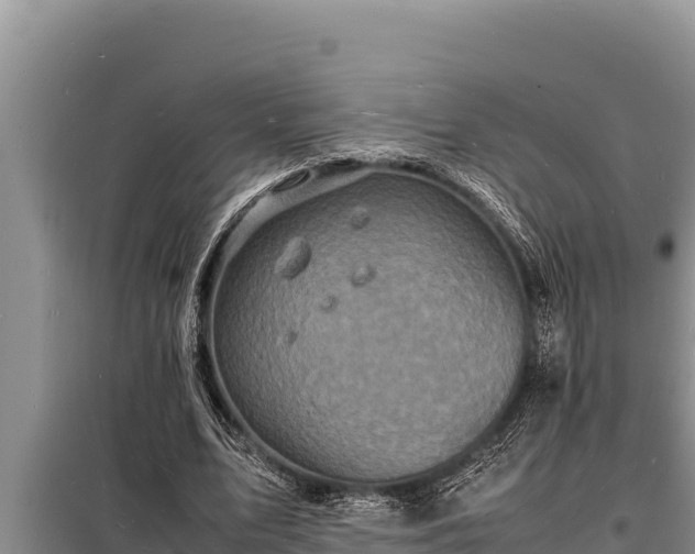 X0000098180583200805011038