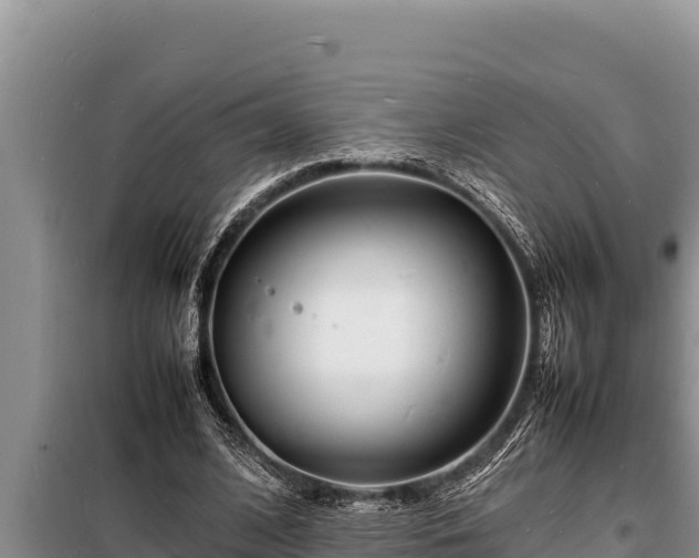 X0000098180584200805011038