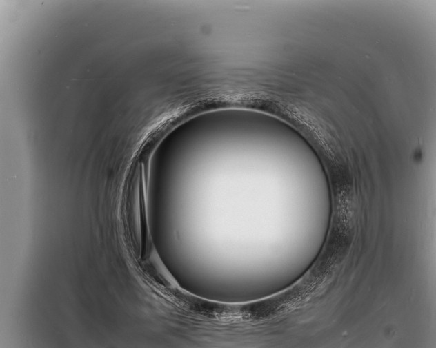 X0000098180587200805011038