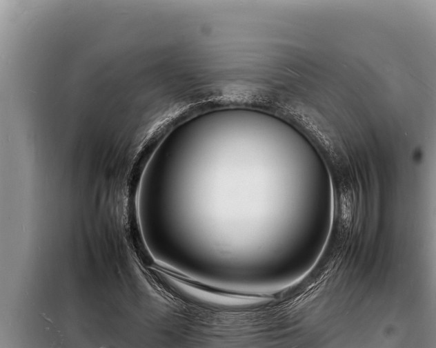 X0000098180588200805011038