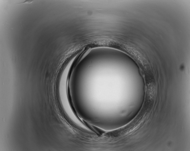 X0000098180589200805011038