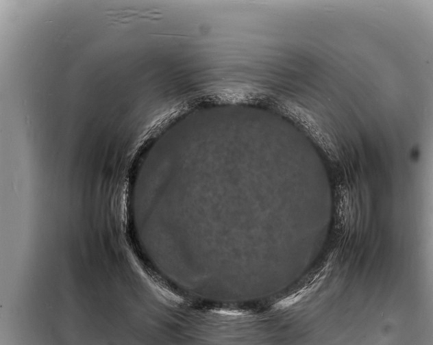 X0000098180590200805011038