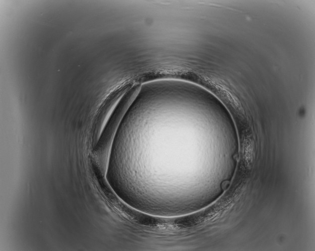 X0000098180591200805011038