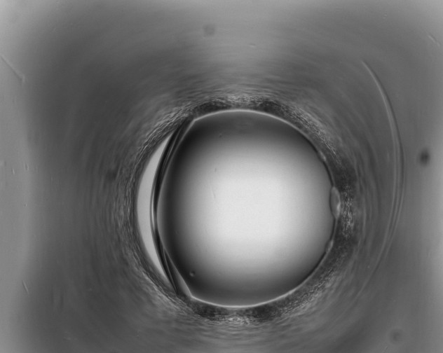 X0000098180593200805011038