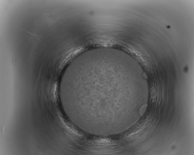 X0000098180594200805011038