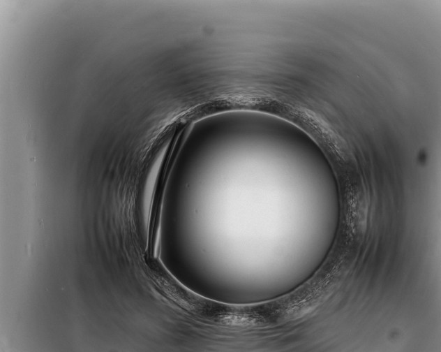 X0000098180596200805011038