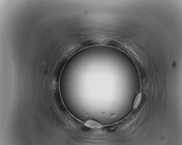 X0000098180597200805011038