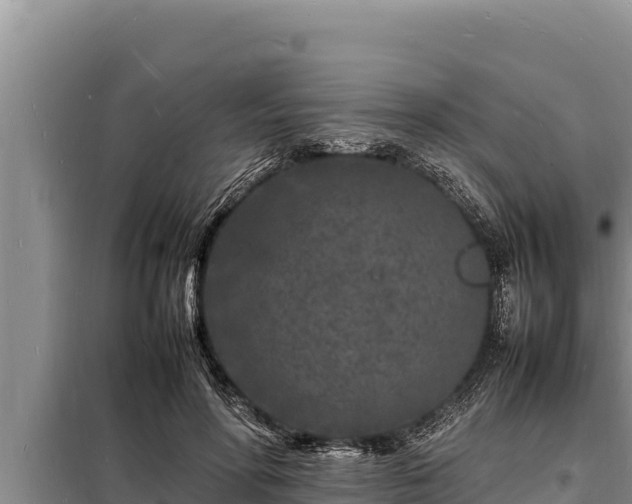 X0000098180598200805011038