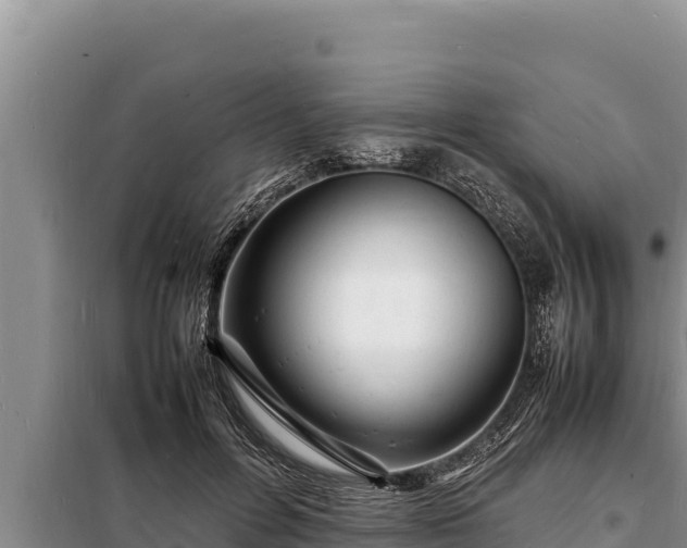 X0000098180600200805011038