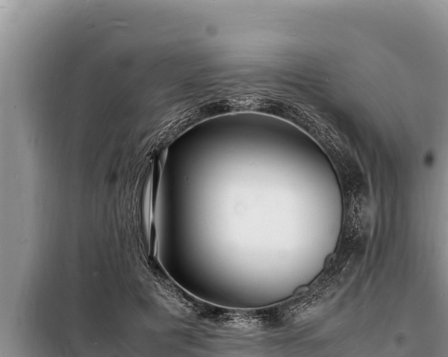 X0000098180601200805011038