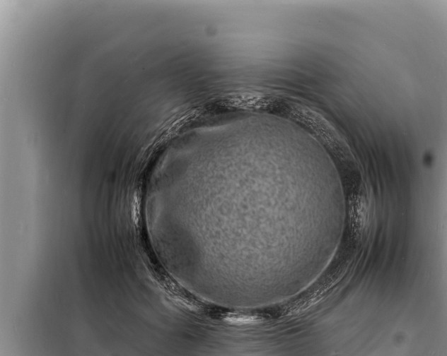 X0000098180602200805011038