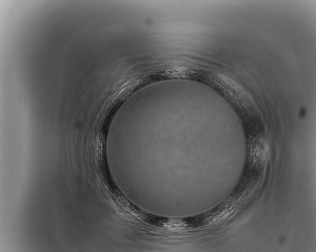 X0000098180603200805011038