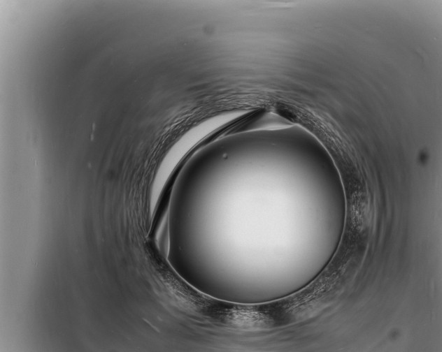 X0000098180605200805011038