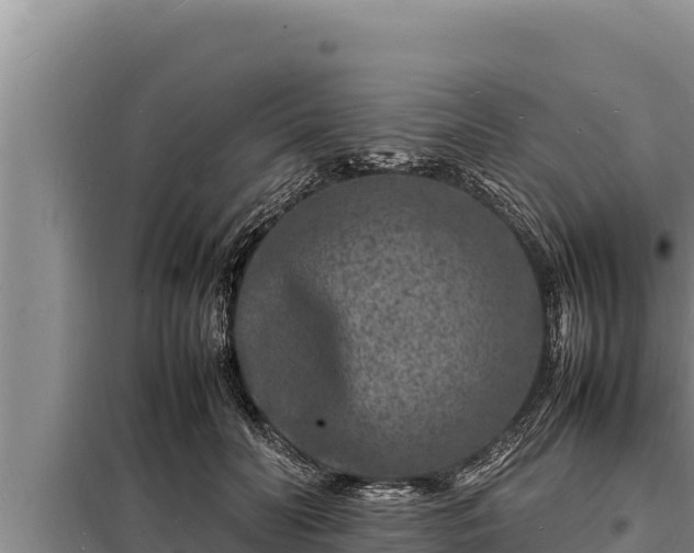 X0000098180606200805011037