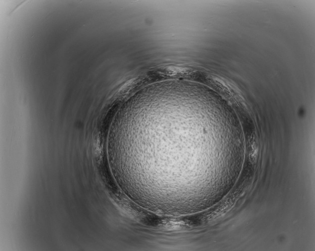 X0000098180607200805011037