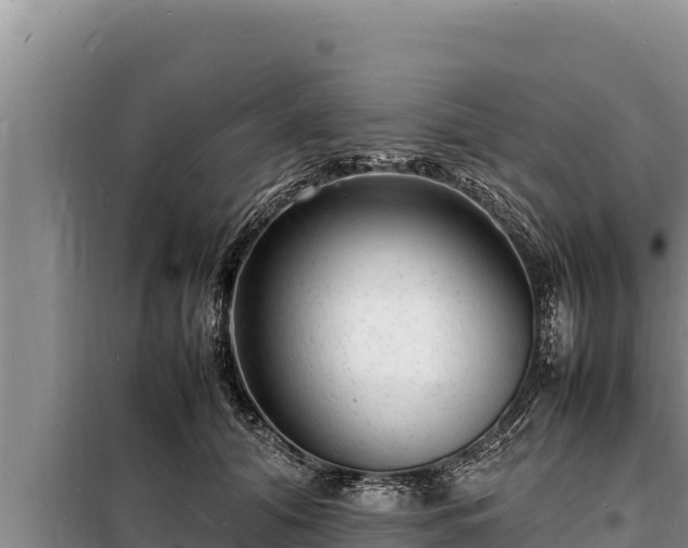 X0000098180608200805011037