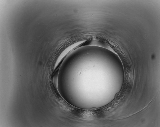 X0000098180609200805011037