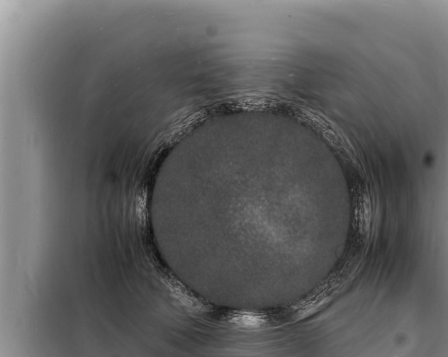 X0000098180610200805011037