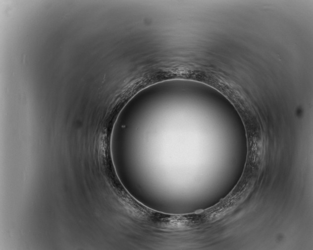 X0000098180612200805011037