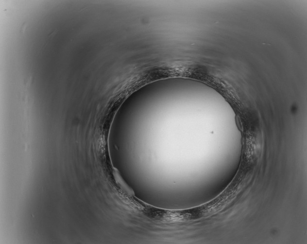 X0000098180613200805011037