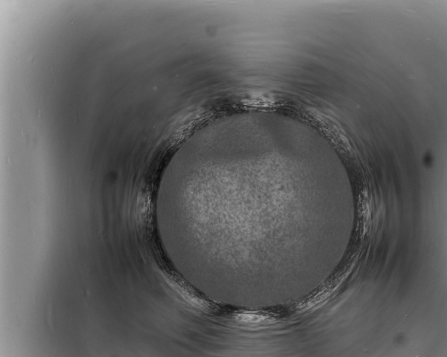 X0000098180614200805011037