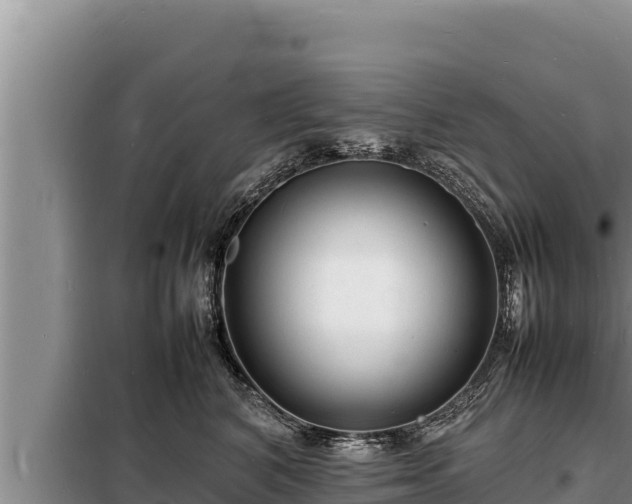 X0000098180616200805011037