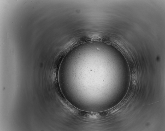 X0000098180618200805011037