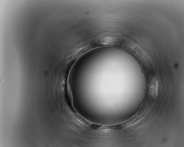 X0000098180620200805011037