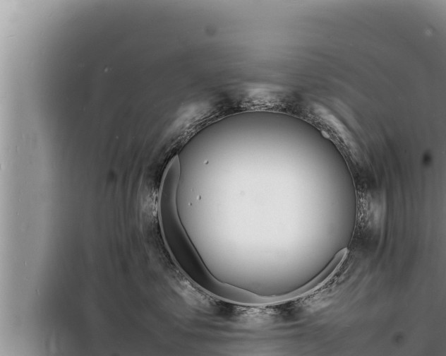 X0000098180621200805011037