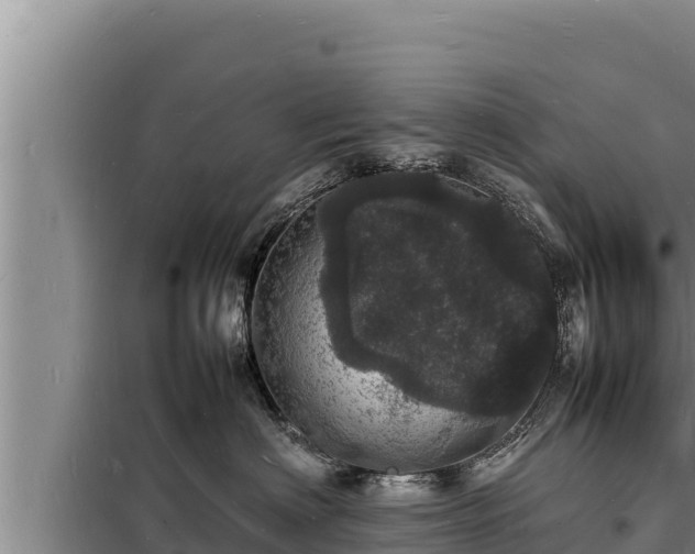 X0000098180622200805011037