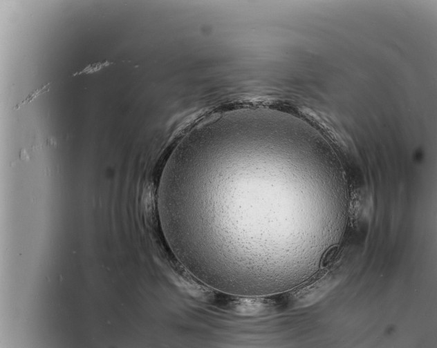 X0000098180623200805011037