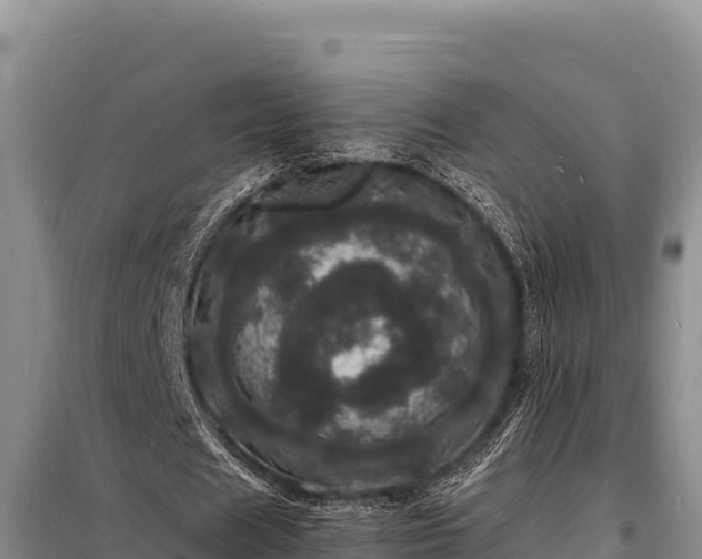 X0000098180625200805011037