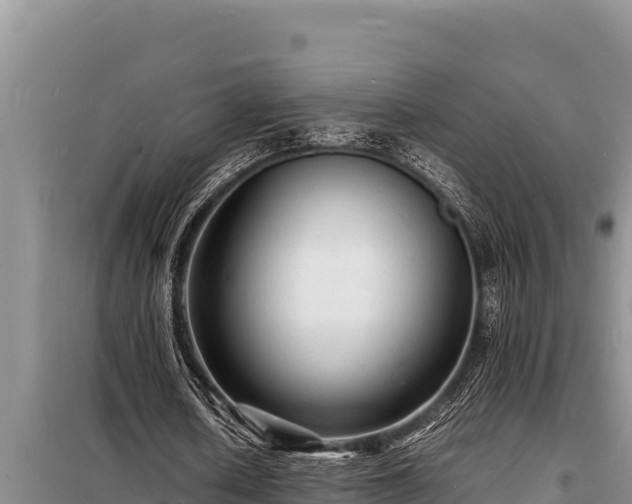 X0000098180626200805011037