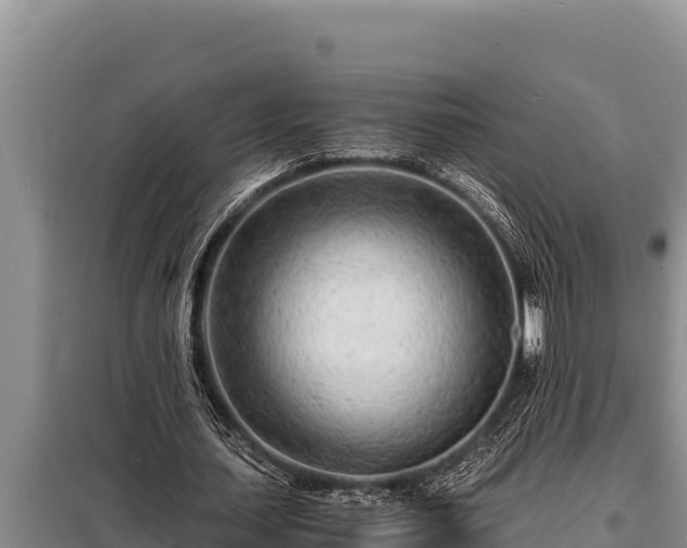 X0000098180627200805011037