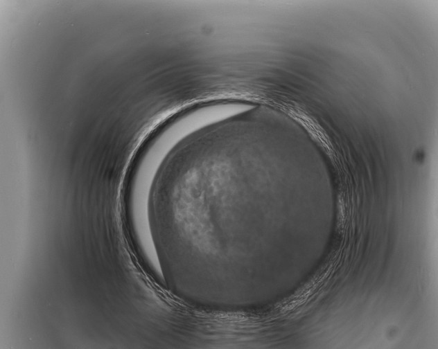 X0000098180628200805011037