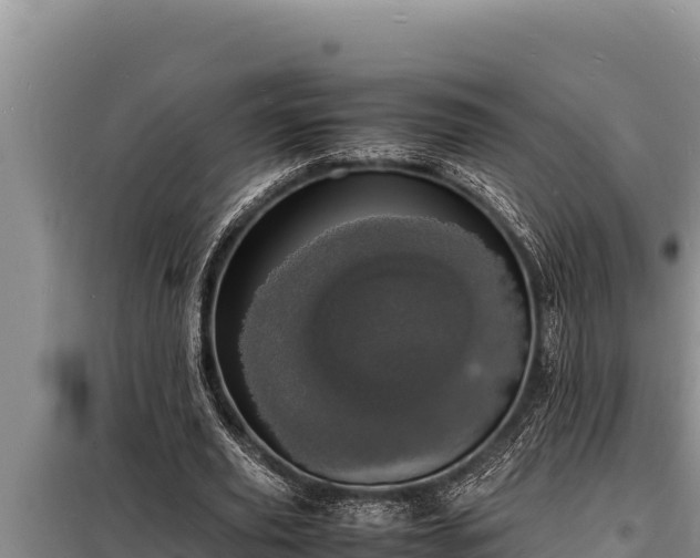 X0000098180629200805011037