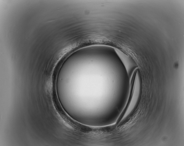 X0000098180630200805011037