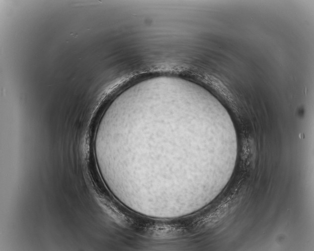 X0000098180632200805011037