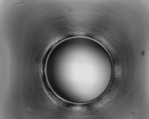 X0000098180634200805011037