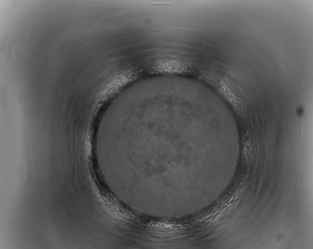 X0000098180635200805011037