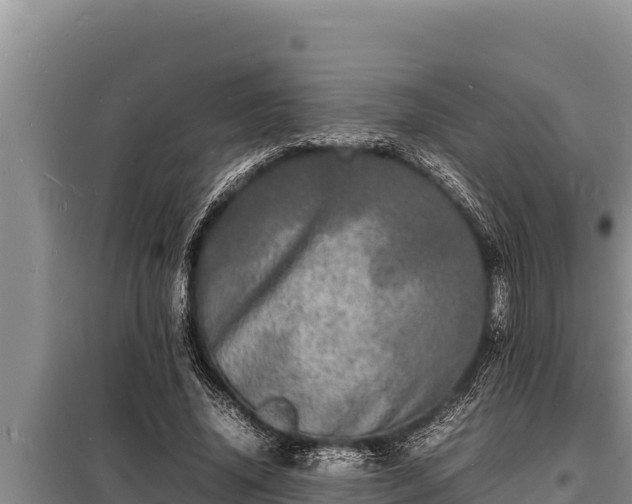 X0000098180636200805011037